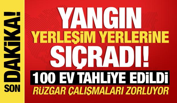 Son dakika... Alanya ve Milas'ta yürek yakan haber! Çok sayıda ekip sevk edildi! 