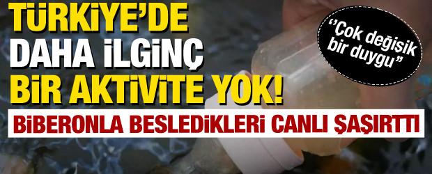 Türkiye’de daha ilginç bir aktivite yok! Biberonla besledikleri canlı şaşırttı