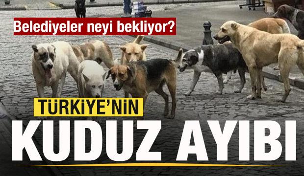 5 Ekim Pazar 2025 Gazete Manşetleri
