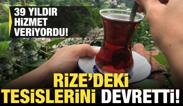 Lipton yaş çay işleme tesislerini Özgür Çay'a devrediyor!