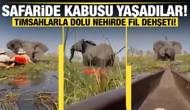 Safari keyfi felaketle sonuçlandı! Turistler ölümden döndü