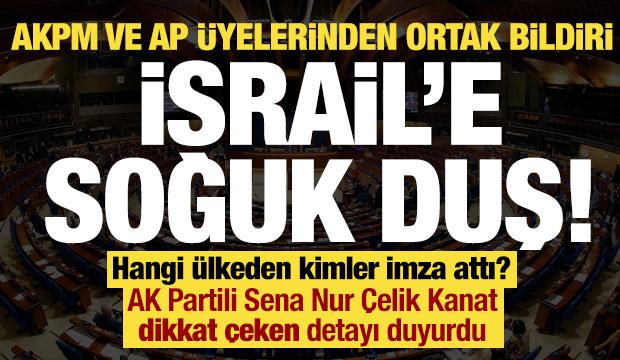 İsrail'e soğuk duş, AKPM ve AP üyelerinden ortak bildiri! Hangi ülkeden kimler imza attı?