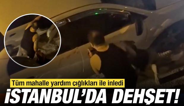İstanbul'da bir pitbull, sahibine saldırdı: 'Yardım edin'  