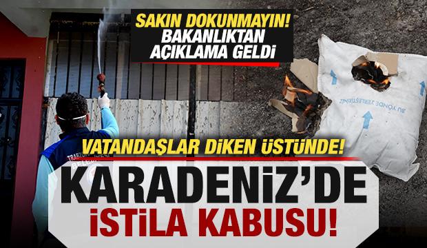 Kokarca alarmı! Vatandaşlar kabusu yaşıyor! Sakın dokunmayın: Bakanlıktan açıklama