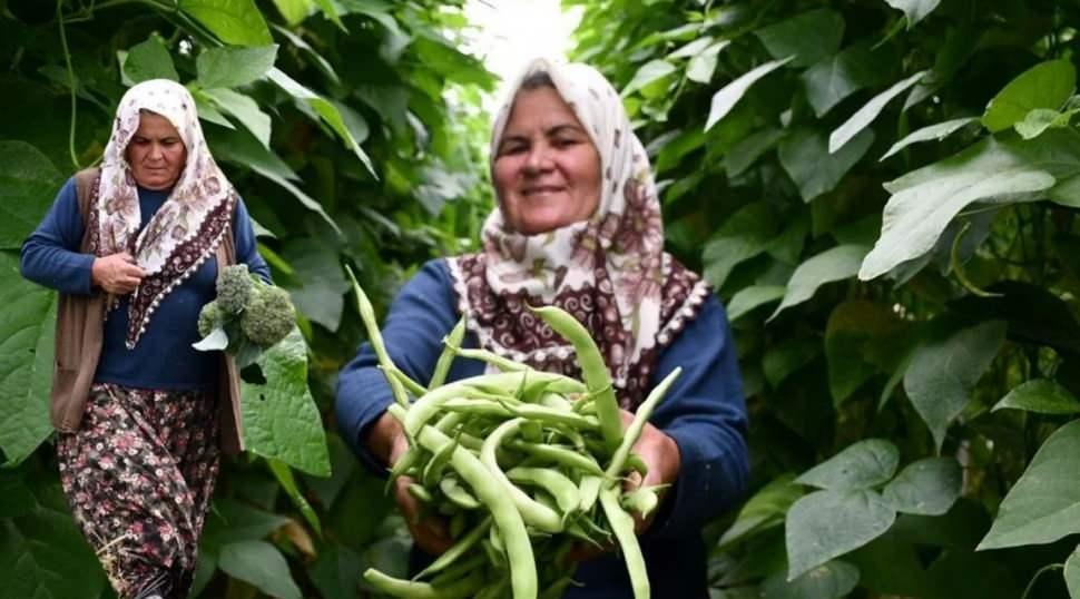 Bilecikli kadın girişimci Hanımşah İkiz’ten örnek başarı: 14 çeşit sebze yetiştiriyor!
