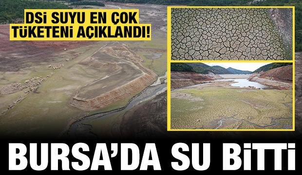 Bursa'da su bitti: DSİ suyu en çok tüketeni açıklandı!