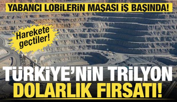 Nadir toprak elementleri ve nadir bulunan muhalefet ilişkisi