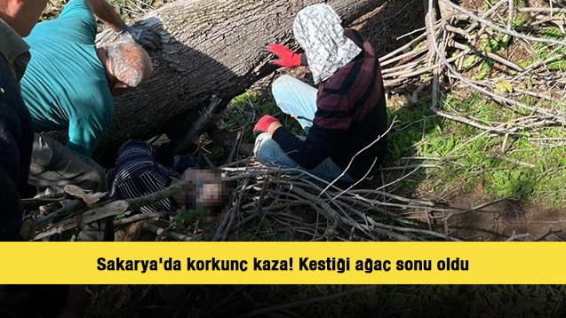 Sakarya'da korkunç kaza! Kestiği ağaç sonu oldu