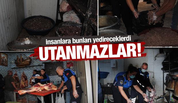 Şanlıurfa’da rezil görüntü! 1 ton kokmuş ve bozuk et ele geçirdi  