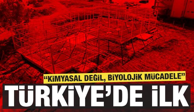 Türkiye’de ilk: ‘Yapay Zeka Destekli Cam Sera Projesi’ ile iki modern cam sera 