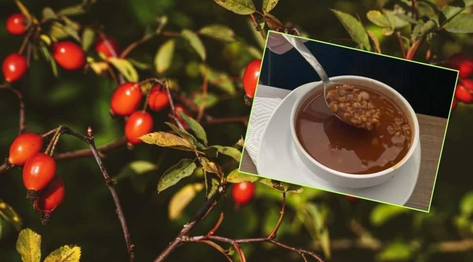 Yozgat yöresine ait 'kuşburnu yemeği' faydalarıyla popüler oldu!