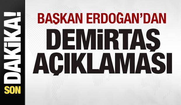 Başkan Erdoğan'dan son dakika Selahattin Demirtaş açıklaması