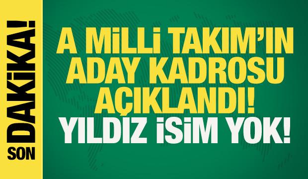 Son dakika: A Milli Takım'ın aday kadrosu belli oldu! Berke Özer kararı