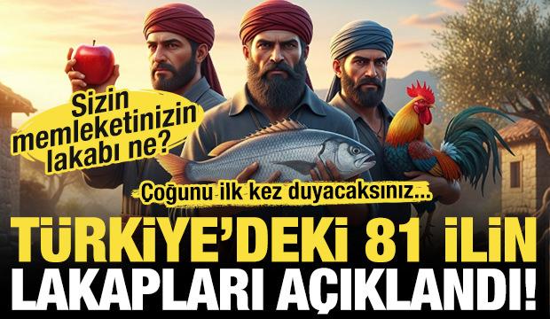 Türkiye'nin 81 ilinin lakapları açıklandı! Memleketinizin lakabı ne?