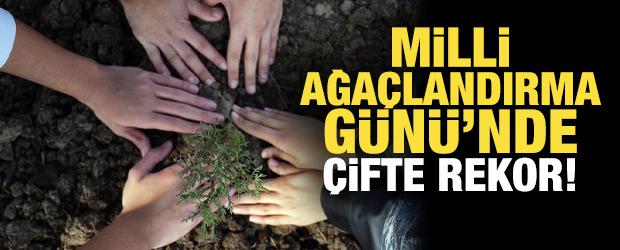 11 Kasım Milli Ağaçlandırma Günü'nde çifte rekor!