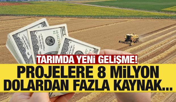 FAO'dan Türkiye'deki projelere 8,1 milyon dolarlık kaynak