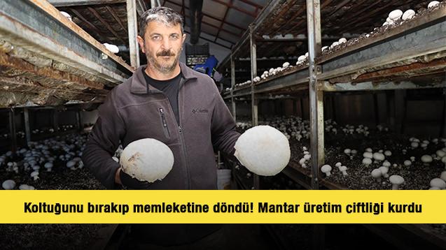 Koltuğunu bırakıp memleketine döndü! Bakanlık desteğiyle mantar üretim çiftliği kurdu