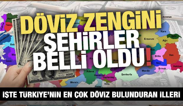 Türkiye'nin döviz zengini illeri belli oldu! Dört ilde paranın yarısı dövizde!