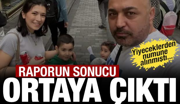 Böcek ailesinin ölümünde yeni gelişme! Rapor ortaya çıktı