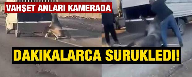 Kamyonetin arkasına bağladığı atı dakikalarca sürükledi; o anlar kamerada