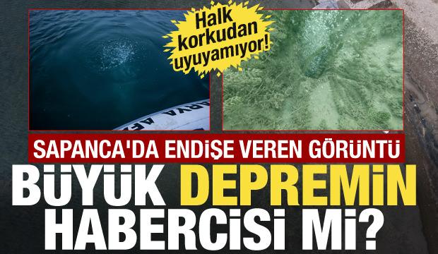 Sapanca Gölü'nde endişe veren kabarcıklar: Korkudan rahat uyuyamıyoruz