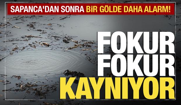 Sapanca’nın ardından Efteni Gölü’nde de gizemli fokurtu