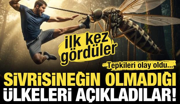 Bir tane bile sivrisineğin olmadığı ülkeleri açıkladılar! Bunu daha önce hiç görmedim!'