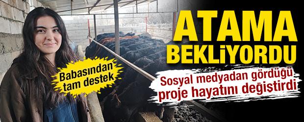 Atama bekleyen Asena, devlet desteğiyle hayvancılığa başladı