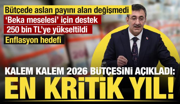 'OVP için en kritik yıl!' Cevdet Yılmaz kalem kalem 2026 bütçesini açıkladı