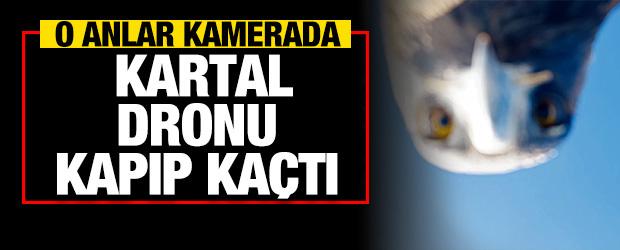 Kartal aldı zirveye bıraktı! Dağcılar 6 saatte tırmanabildi