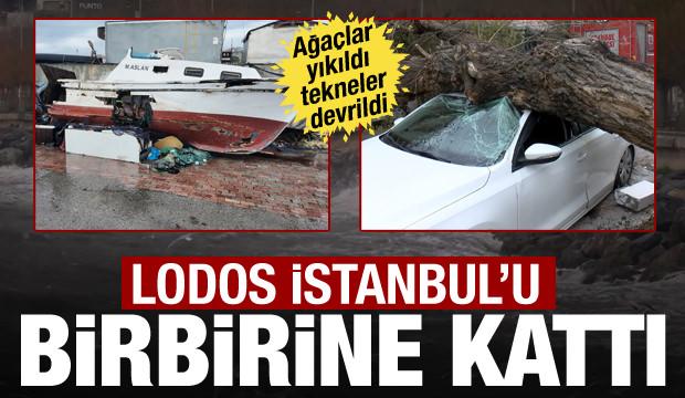 İstanbul'da lodos kabusu! Ağa&ccedil;lar yıkıldı, tekneler devrildi: 1 saniye ile kurtuldum