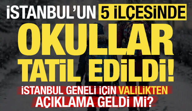 Son dakika haberi: İstanbul'un 5 il&ccedil;esinde 2 Ocak Cuma okullar tatil edildi!