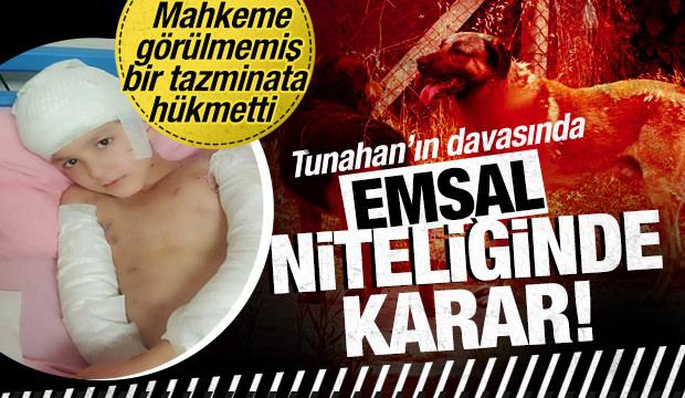 Tunahan&rsquo;ın davasında emsal karar: Sokak k&ouml;peği saldırısında g&ouml;r&uuml;lmemiş tazminat