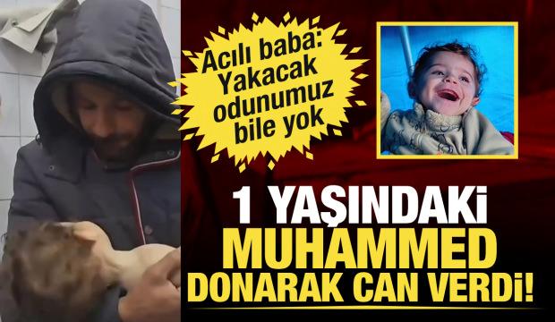 1 yaşındaki Muhammed donarak can verdi... Filistinli baba: Yakacak odunumuz bile yok!