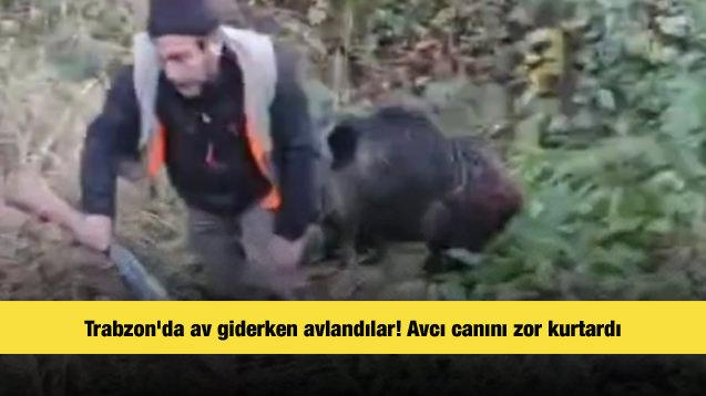 Trabzon'da ava giderken avlandılar! Yaşlı avcı canını zor kurtardı