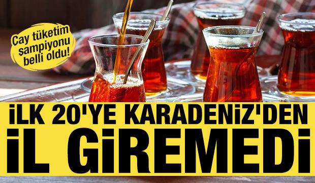 &Ccedil;ay t&uuml;ketim şampiyonu iller belli oldu! İlk 20'ye Karadeniz'den il giremedi