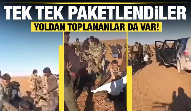 Suriye ordusu Rakka'da teslim olmayı reddeden PKK/SDG'li ter&ouml;ristleri yakaladı