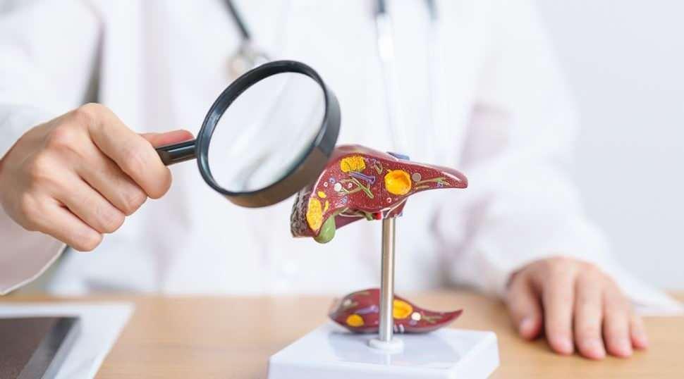 10 yıl i&ccedil;inde 400 bin kişi siroz riskiyle karşı karşıya!