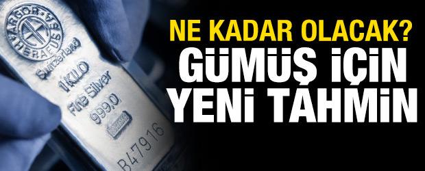 Citigroup'tan g&uuml;m&uuml;ş i&ccedil;in rekor tahmini