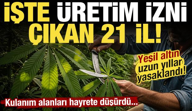 Kenevir &uuml;retimi yapılabilecek 21 il a&ccedil;ıklandı! İzin &ccedil;ıktı...