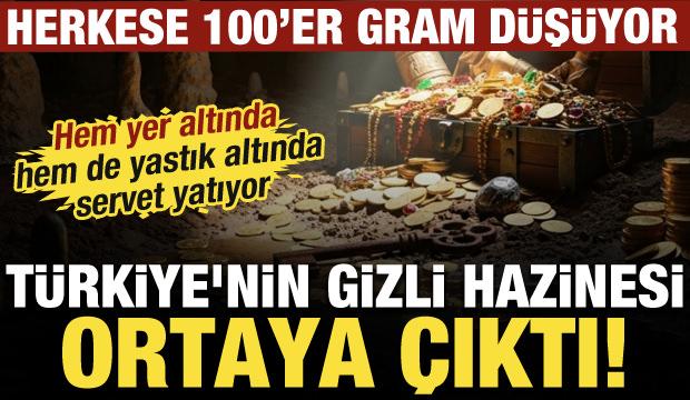 T&uuml;rkiye'nin gizli hazinesi ortaya &ccedil;ıktı: Herkese 100'er gram d&uuml;ş&uuml;yor 