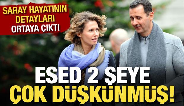 Esed'in saray hayatı ortaya &ccedil;ıktı: 2 şeye &ccedil;ok d&uuml;şk&uuml;nd&uuml;!
