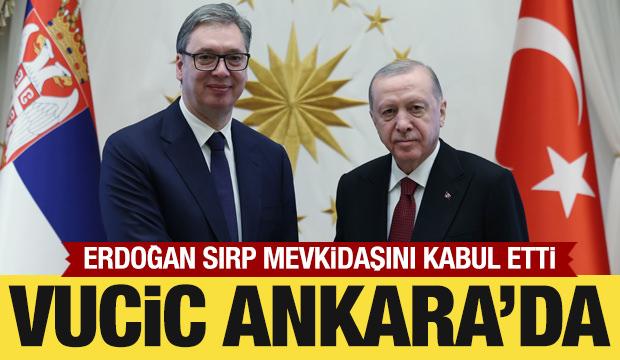Cumhurbaşkanı Erdoğan, Sırbistan Cumhurbaşkanı Vucic ile g&ouml;r&uuml;şt&uuml;