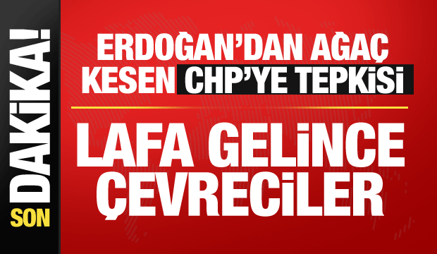 Cumhurbaşkanı Erdoğan'dan &ouml;nemli a&ccedil;ıklamalar