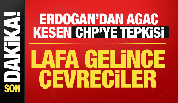 Cumhurbaşkanı Erdoğan'dan &ouml;nemli a&ccedil;ıklamalar