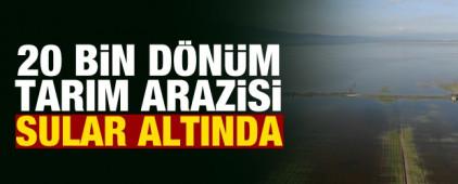 Kahramanmaraş'ta sağanak yağış vurgunu! 20 bin d&ouml;n&uuml;m arazi sular altında