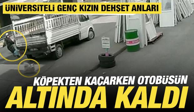 K&ouml;pekten ka&ccedil;arken otob&uuml;s&uuml;n altında kalan &uuml;niversiteli yaşam savaşı veriyor