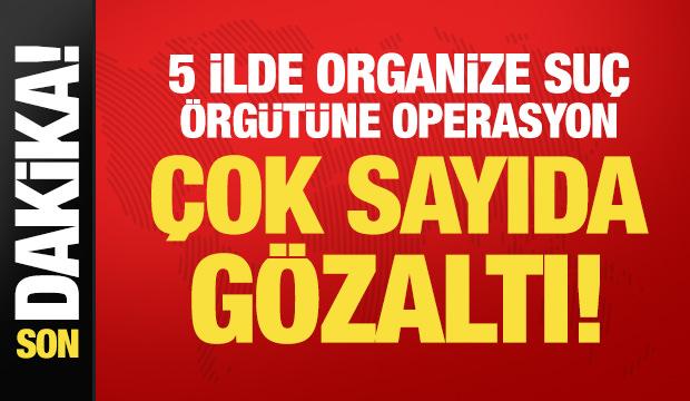 Son Dakika... 5 ilde organize su&ccedil; &ouml;rg&uuml;t&uuml;ne operasyon: 37 g&ouml;zaltı