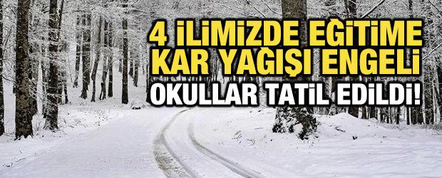 4 ilimizde eğitime kar yağışı engeli: Okullar tatil edildi!