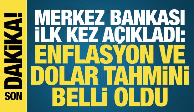 Merkez Bankası ilk kez a&ccedil;ıkladı: Vatandaşın enflasyon ve dolar tahmini belli oldu